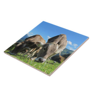 Grazing Cow Tile