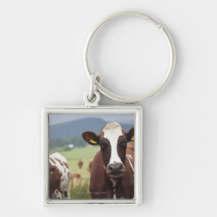 Grazing cows key ring