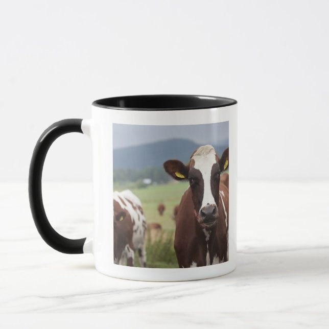 Grazing cows mug (Left)