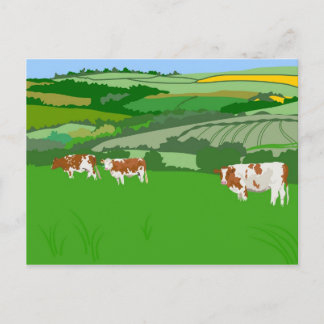 Grazing Cows Postcard