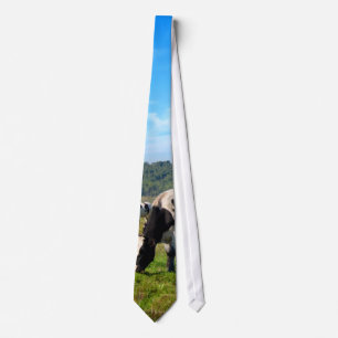 Grazing Cows Tie