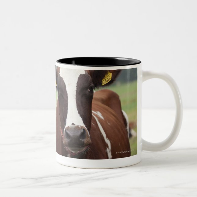 Grazing cows Two-Tone coffee mug (Right)