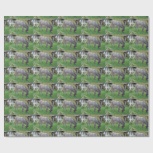 Grazing Donkey Wrapping Paper