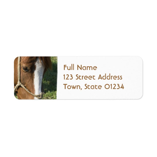 Grazing Draught Horse Return Adress Mailing Label (Front)