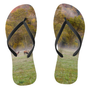 Grazing Elk Couple Flip Flops