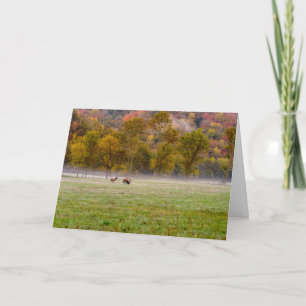 Grazing Elk Couple Greeting Card