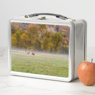 Grazing Elk Couple Lunchbox
