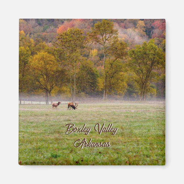 Grazing Elk Couple Square Magnet (Front)