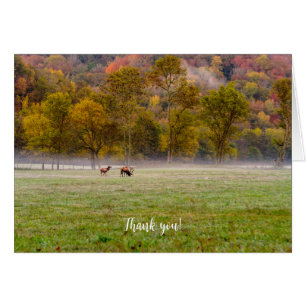 Grazing Elk Couple Thank You Card