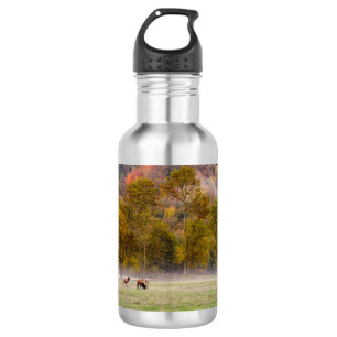 Grazing Elk Couple Water Bottle