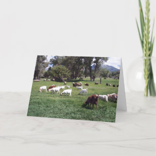 Grazing Goats Thank You Card