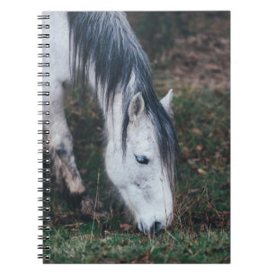 GRAZING GRAY HORSE ON AN AUTUMN’S DAY NOTEBOOK