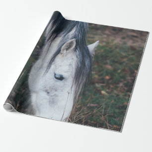 GRAZING GRAY HORSE ON AN AUTUMN’S DAY WRAPPING PAPER