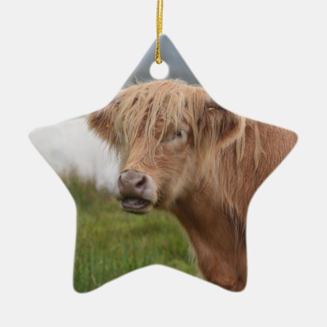 Grazing Highland Cow Ceramic Tree Decoration (Front)