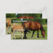 Grazing Horse Family Business Card (Front/Back)
