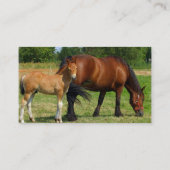 Grazing Horse Family Business Card (Back)