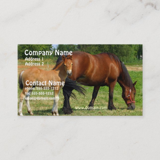 Grazing Horse Family Business Card (Front)