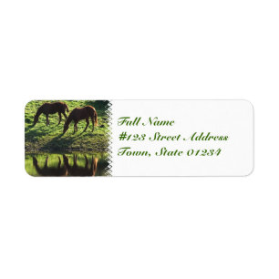 Grazing Horse Pair Mailing Label