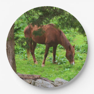 Grazing Horse Paper Plate