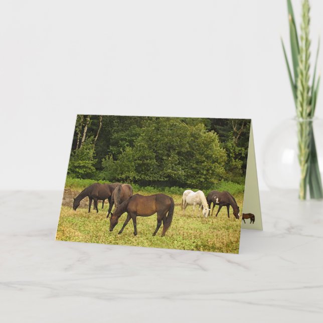 Grazing Horses Birthday Card (Front)