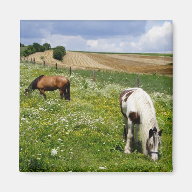 Grazing horses magnet (Front)