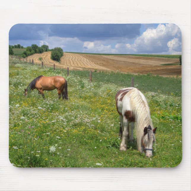 Grazing Horses Mouse Mat (Front)