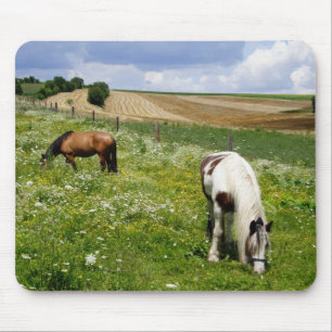 Grazing horses mouse mat