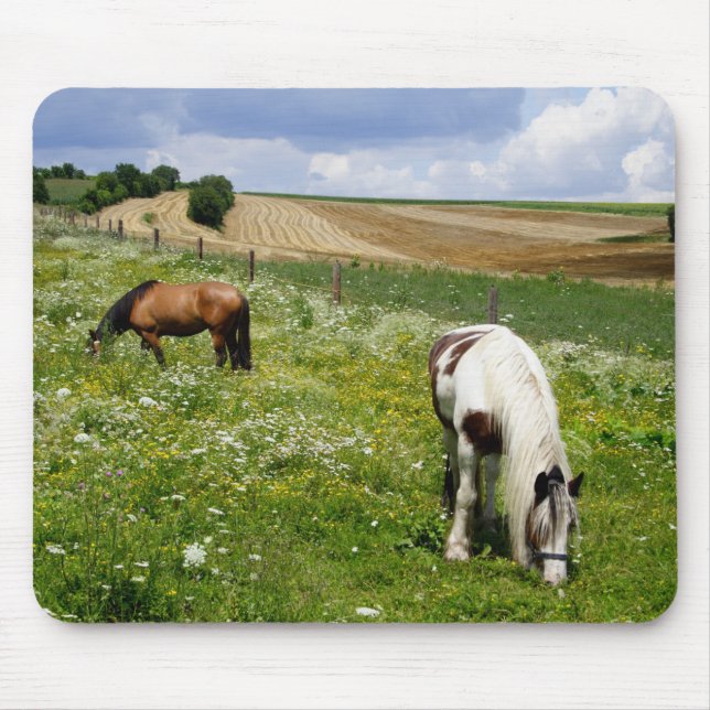 Grazing horses mouse mat (Front)