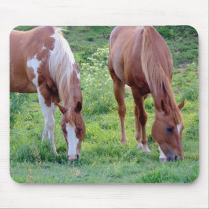 Grazing Horses Mouse Mat