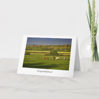 Grazing Horses / Ponies - General Congratulations Card
