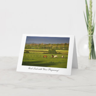 Grazing Horses / Ponies - Good Luck with Pregnancy Card