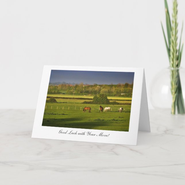 Grazing Horses / Ponies - Good Luck with Your Move Card (Front)