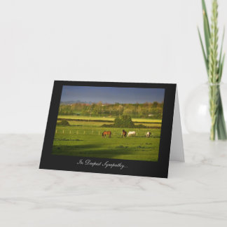 Grazing Horses / Ponies - In Deepest Sympathy Card