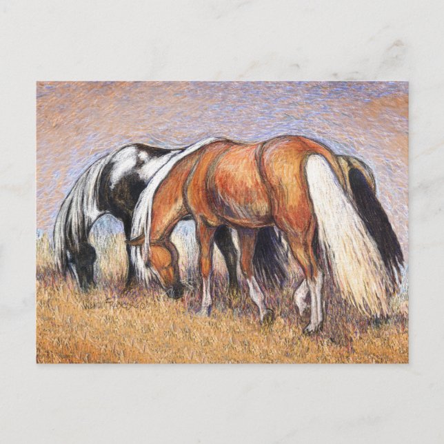 Grazing Horses Postcard (Front)