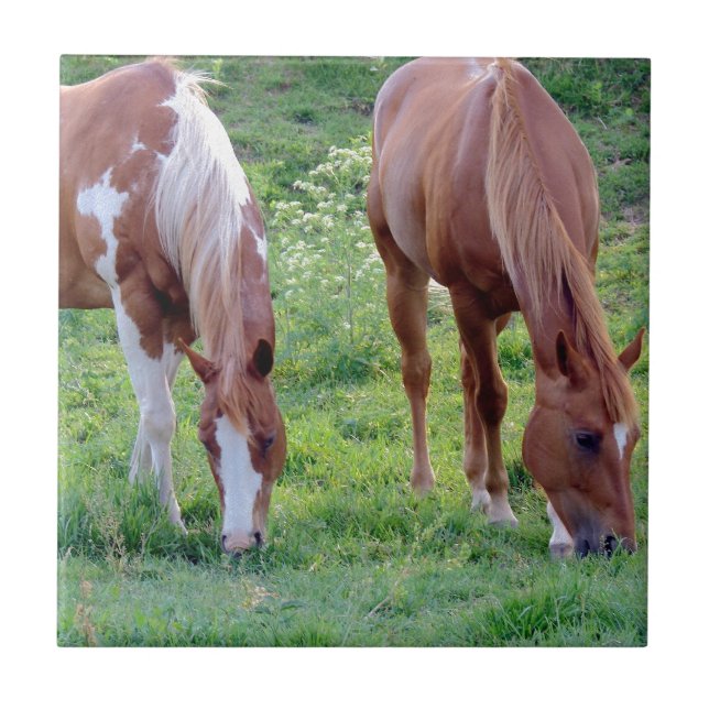 Grazing Horses Tile (Front)