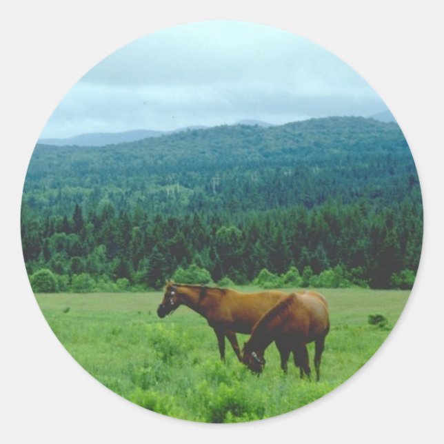 Grazing Horses with Mountain Backdrop Classic Round Sticker (Front)