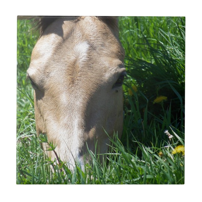 Grazing In The Grass Tile (Front)