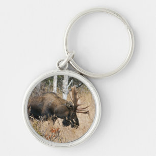 Grazing Moose Key Ring