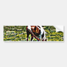 Grazing Paint Horse with yellow flowers