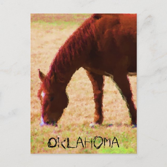 Grazing Postcard (Front)