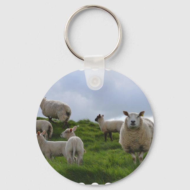 Grazing Sheep Key Ring (Front)