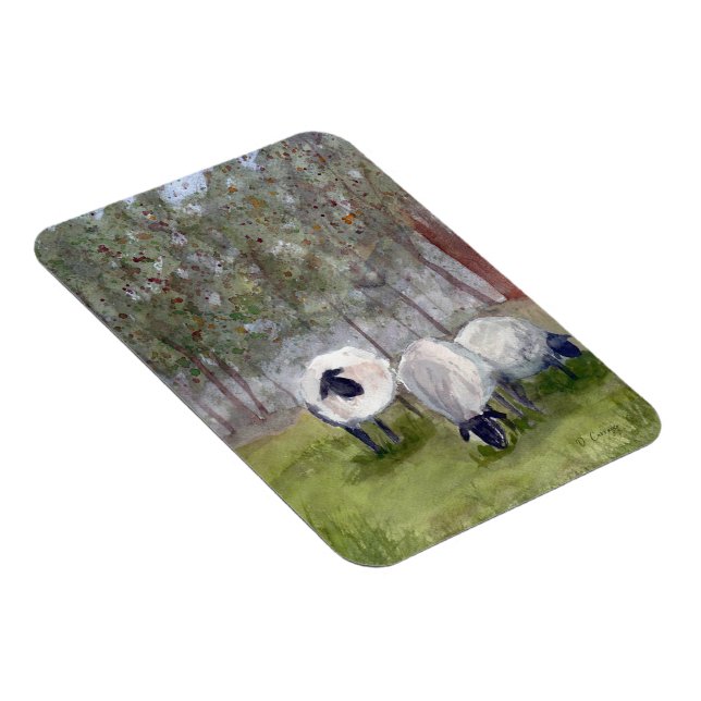 Grazing Sheep Magnet (Right Side)