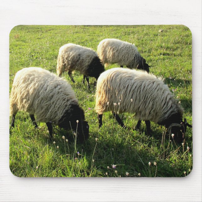Grazing Sheep Mouse Mat (Front)