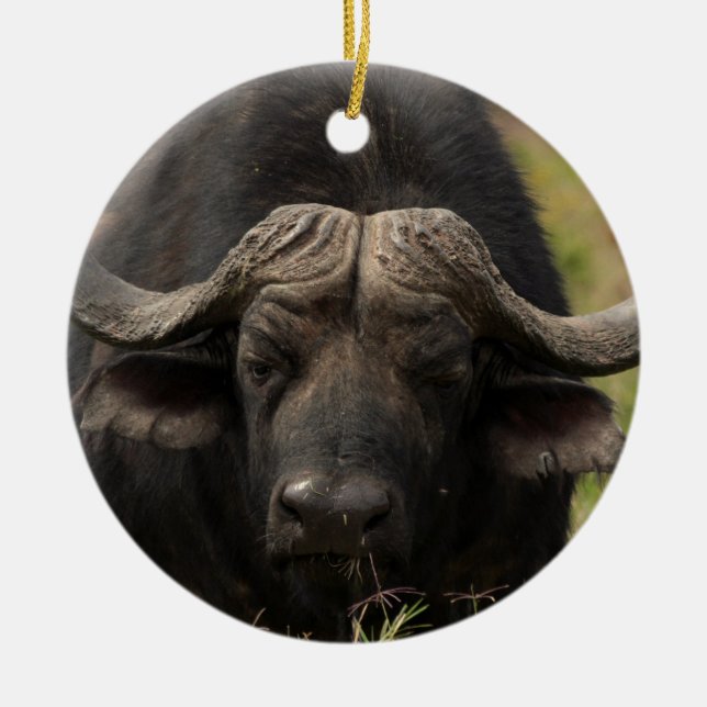Grazing Water Buffalo Ornament (Front)
