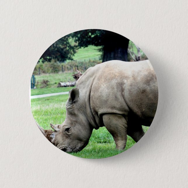 Grazing White Rhino  Button (Front)