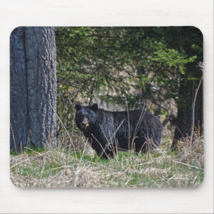 Grazing Wild Black Bear Wildlife Photo Mouse Mat