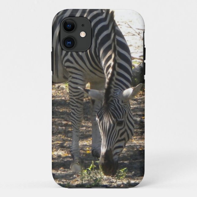 Grazing Zebra iPhone 5 case (Back)