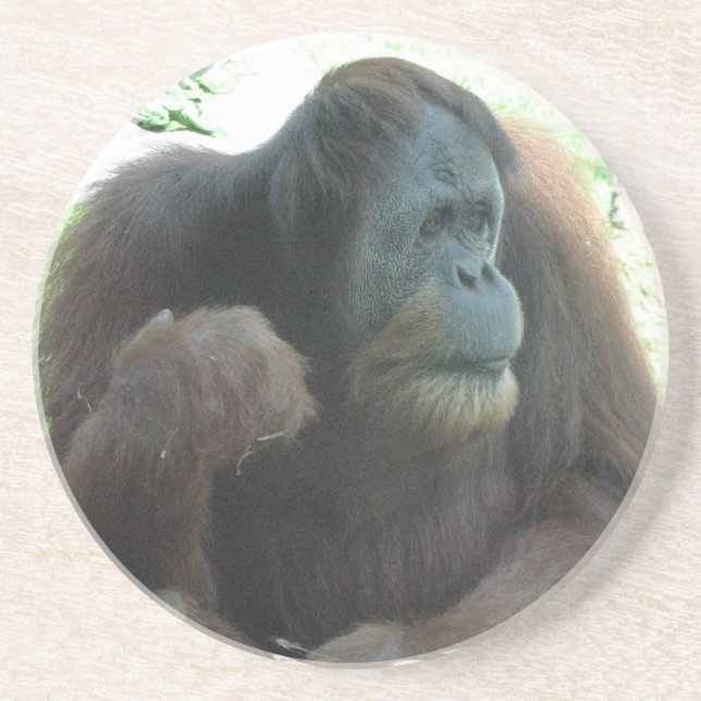 Great Ape Coasters (Front)