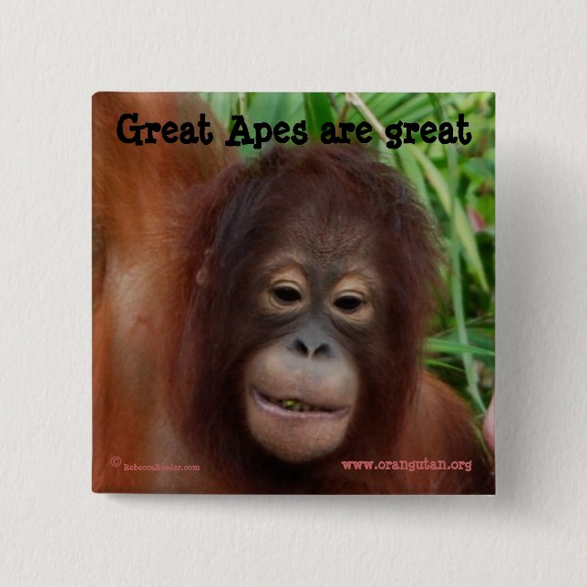 Great Ape Fan 15 Cm Square Badge (Front)