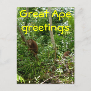 Great Ape Friends Postcard